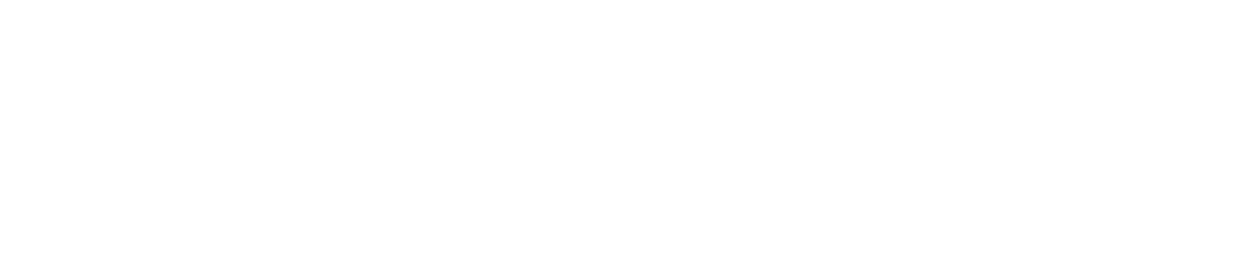 Novells Legal Practice